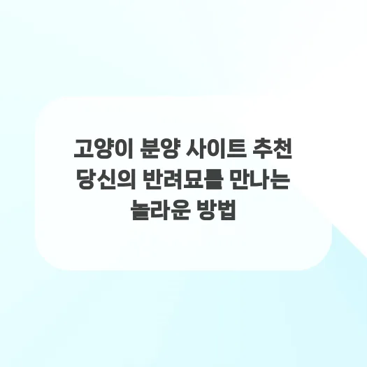 믿을 수 있는 고양이 분양 사이트 찾는 법 (2026년 최신) — 반려동물 — qkrrnekdld