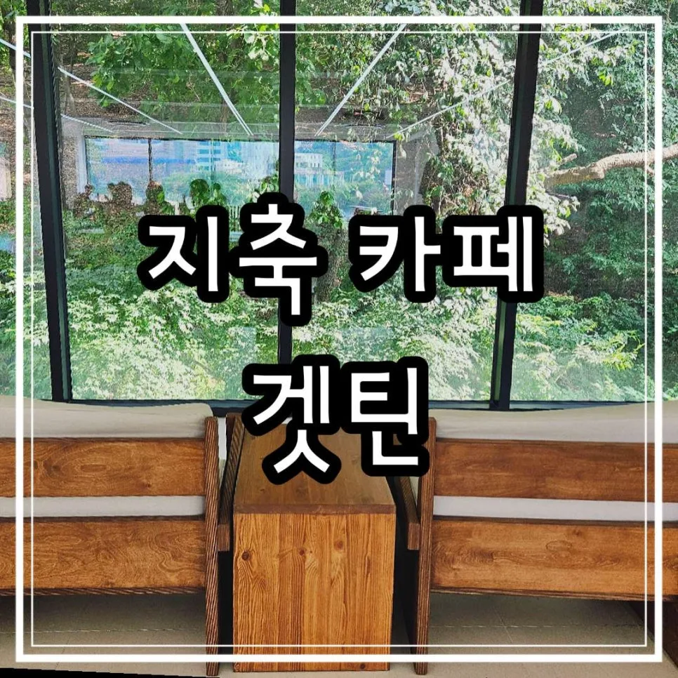 지축 신상 카페 겟틴: 분위기 좋은 숲뷰와 친절함 2026