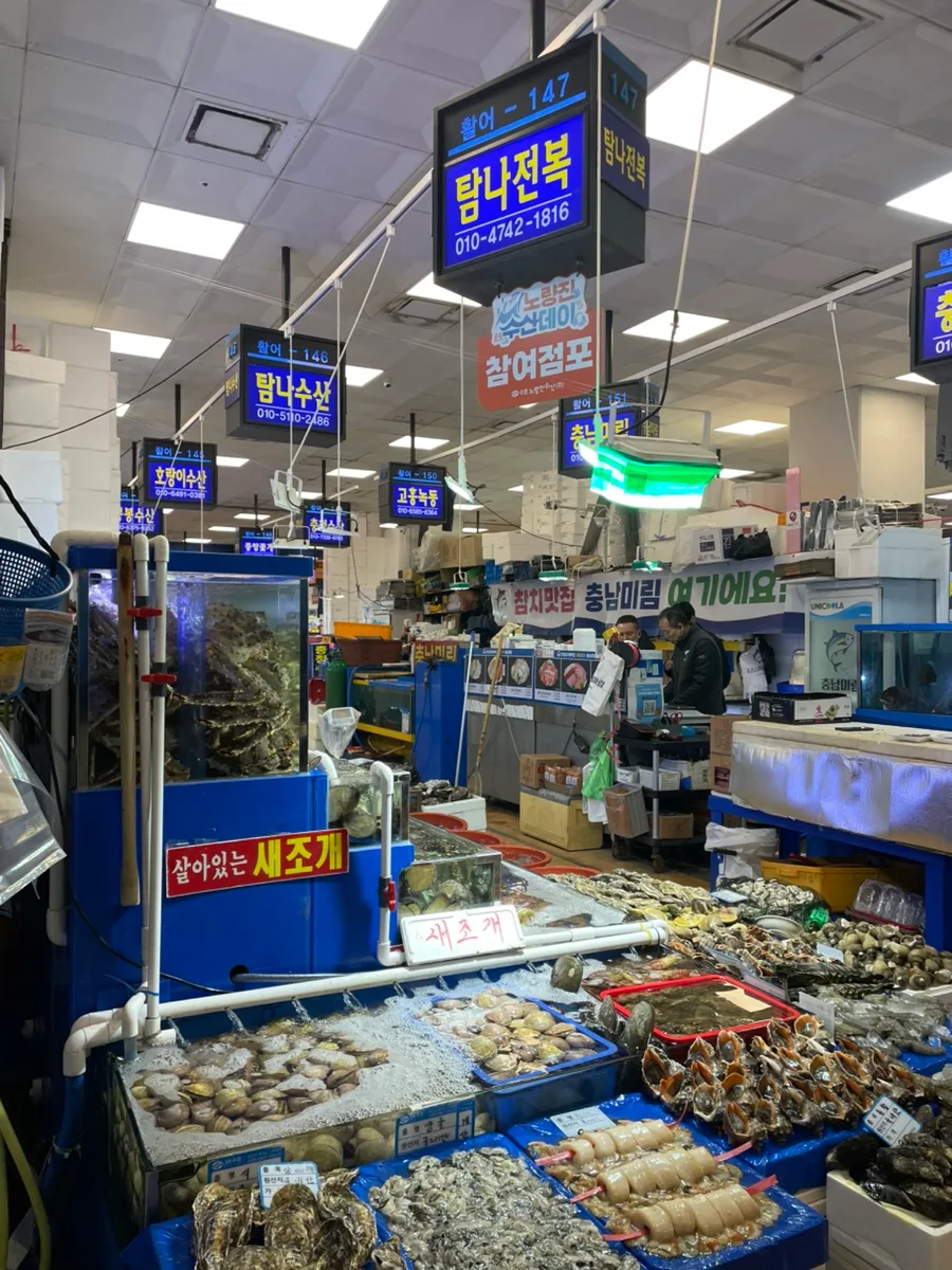 노량진 전복 맛집 2026: 탐나전복 활전복 구매 후기 및 시세