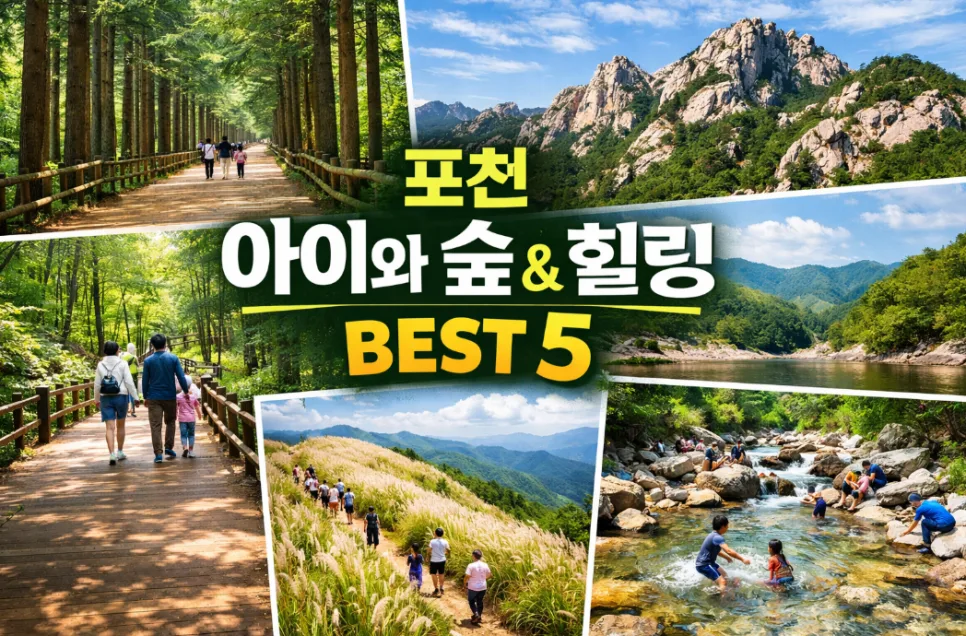 포천 숲캉스 2026: 아이와 함께하는 힐링 여행 코스 추천
