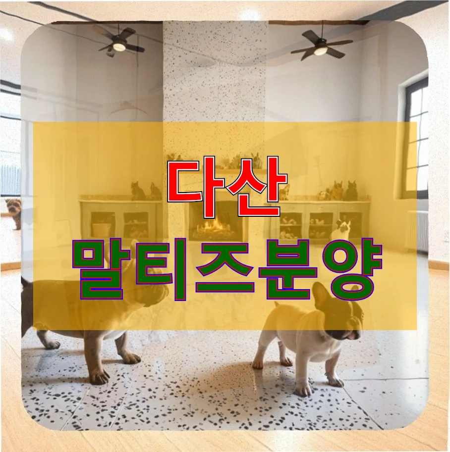 다산 말티즈 분양 150만원 예산, 실제 경험자가 정리한 입양 후기 2026
