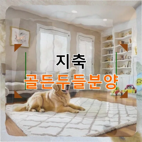 지축 골든두들 분양, 도베르만 입양 고민 2026년 실제 경험담