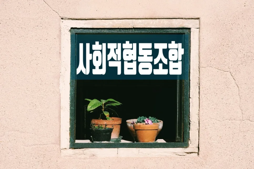 사회적협동조합 설립 절차 및 사업계획서 작성 가이드 2026