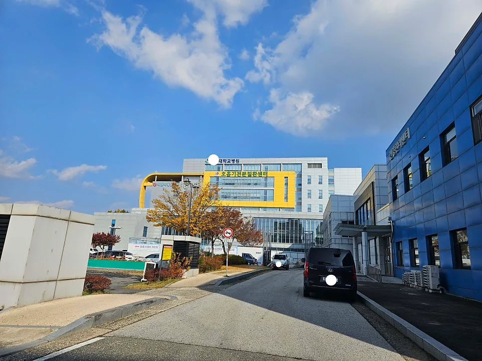 AI 흉부 X선 판독 시대 2026: 방사선사 경험 기반 변화 분석