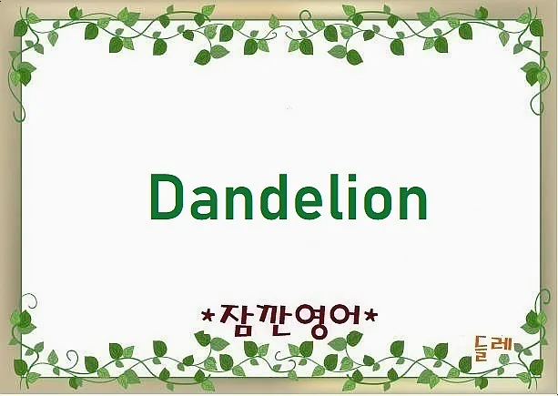 민들레 Dandelion 어원과 유래 2026년 총정리