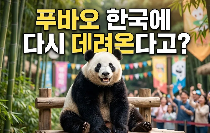 푸바오 한국 재유치 논란 2026: 찬반 입장 총정리
