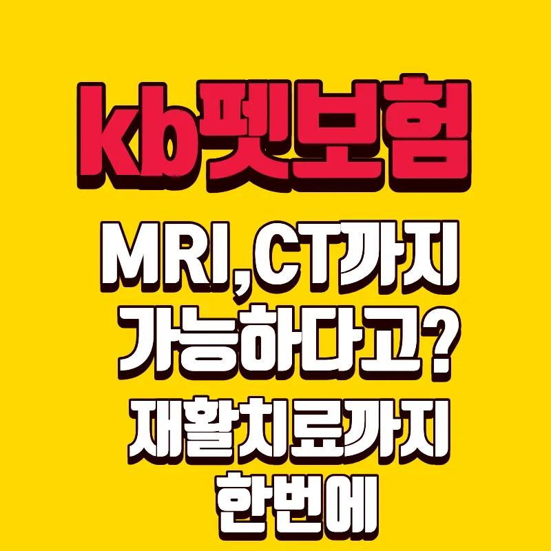KB펫보험 2026년 보장 분석: MRI·CT부터 항암까지, 반려인 필수 체크리스트
