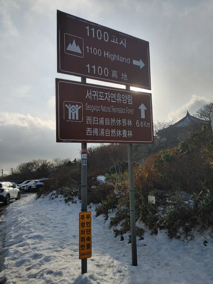 한라산 1100고지 겨울 명소 2026: 편의점·습지 탐방로 총정리
