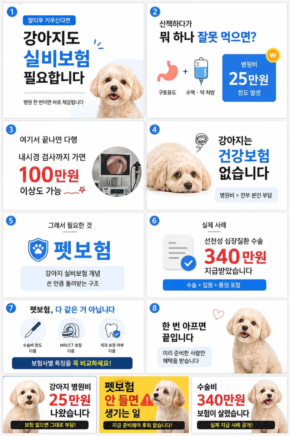 강아지 펫보험, 2026년 필수 가입 이유와 현명한 선택법