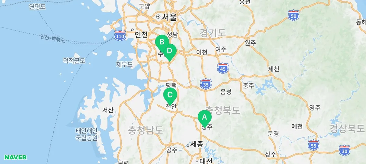부산 강아지 분양, 테디비숑 입양 후기 2026