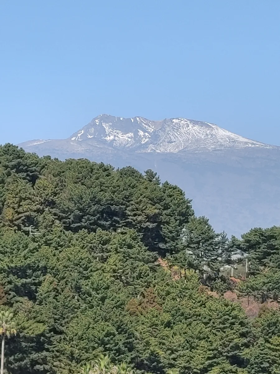 서귀포 새섬공원 2026: 새연교 야경과 겨울 풍경 완벽 가이드
