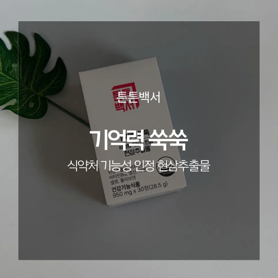 기억력 개선 현삼추출물 2026: 뇌 건강 챙기는 똑똑한 방법