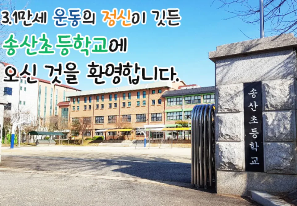 화성 서부 초등학교 2026년 현황: 소규모 학교 장점 분석