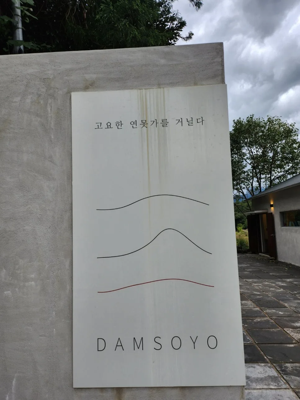 제주 담소요 & 신례천: 월든 속 소로의 삶을 엿보다 2026 3