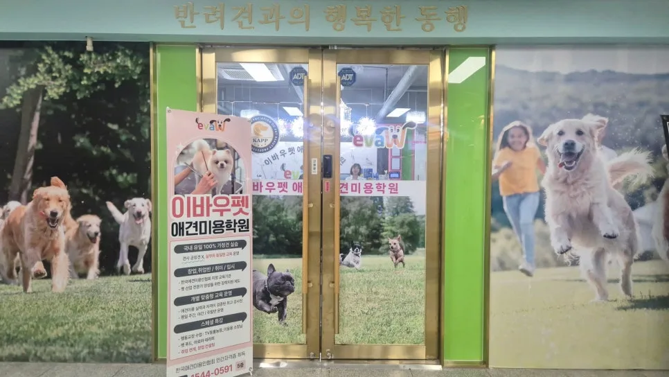 일산 애견미용학원 2026년 자격증 취득 로드맵