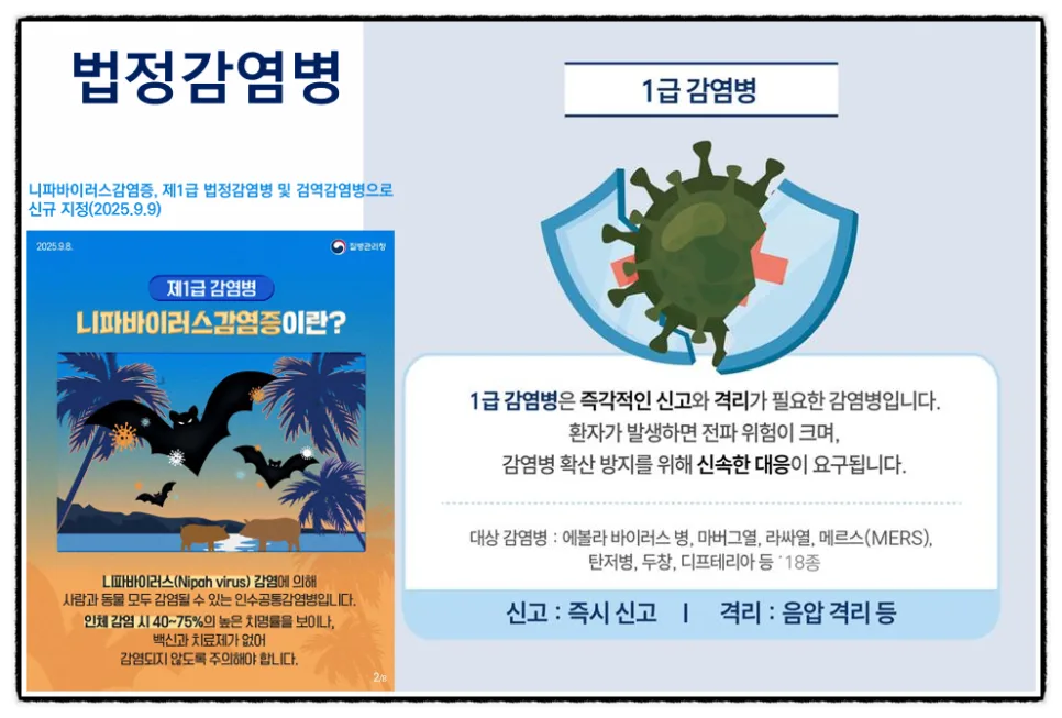 법정 감염병 종류별 분류와 대처법 2026년 총정리