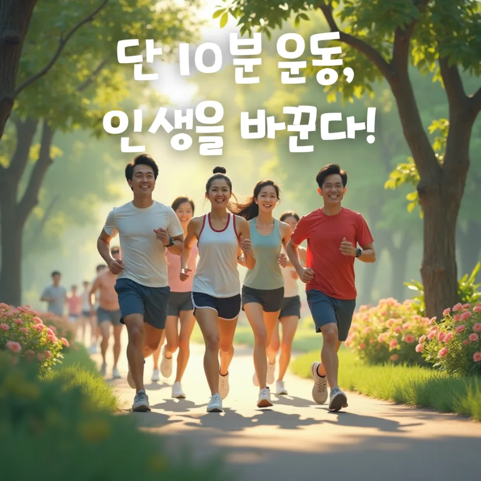 단 10분 운동, 행복을 만드는 기적 2026년 총정리