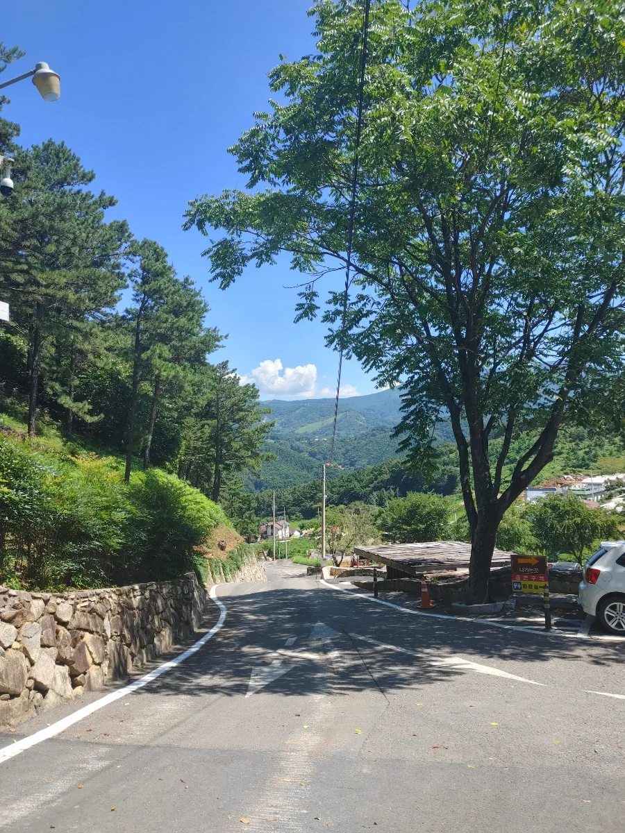 산청 수선사 연꽃 명소 2026: 여름 연꽃과 고즈넉한 사찰 풍경