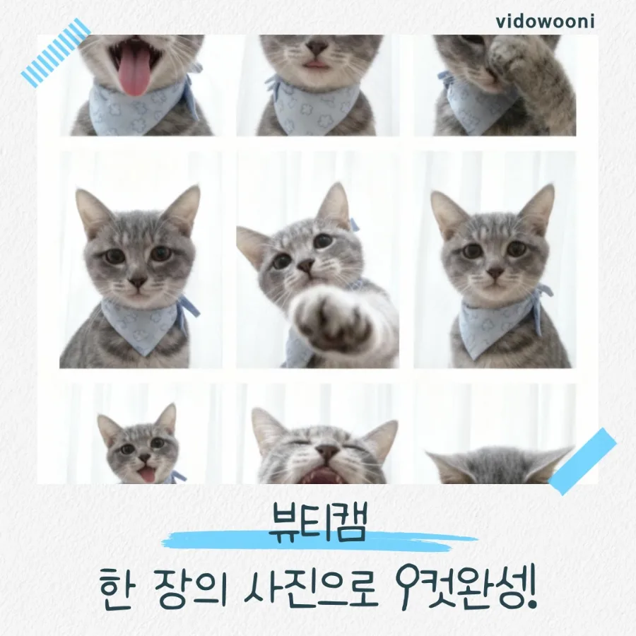 뷰티캠 AI 9컷 사진 만들기: 댕냥이 인생샷 2026년 완벽 가이드