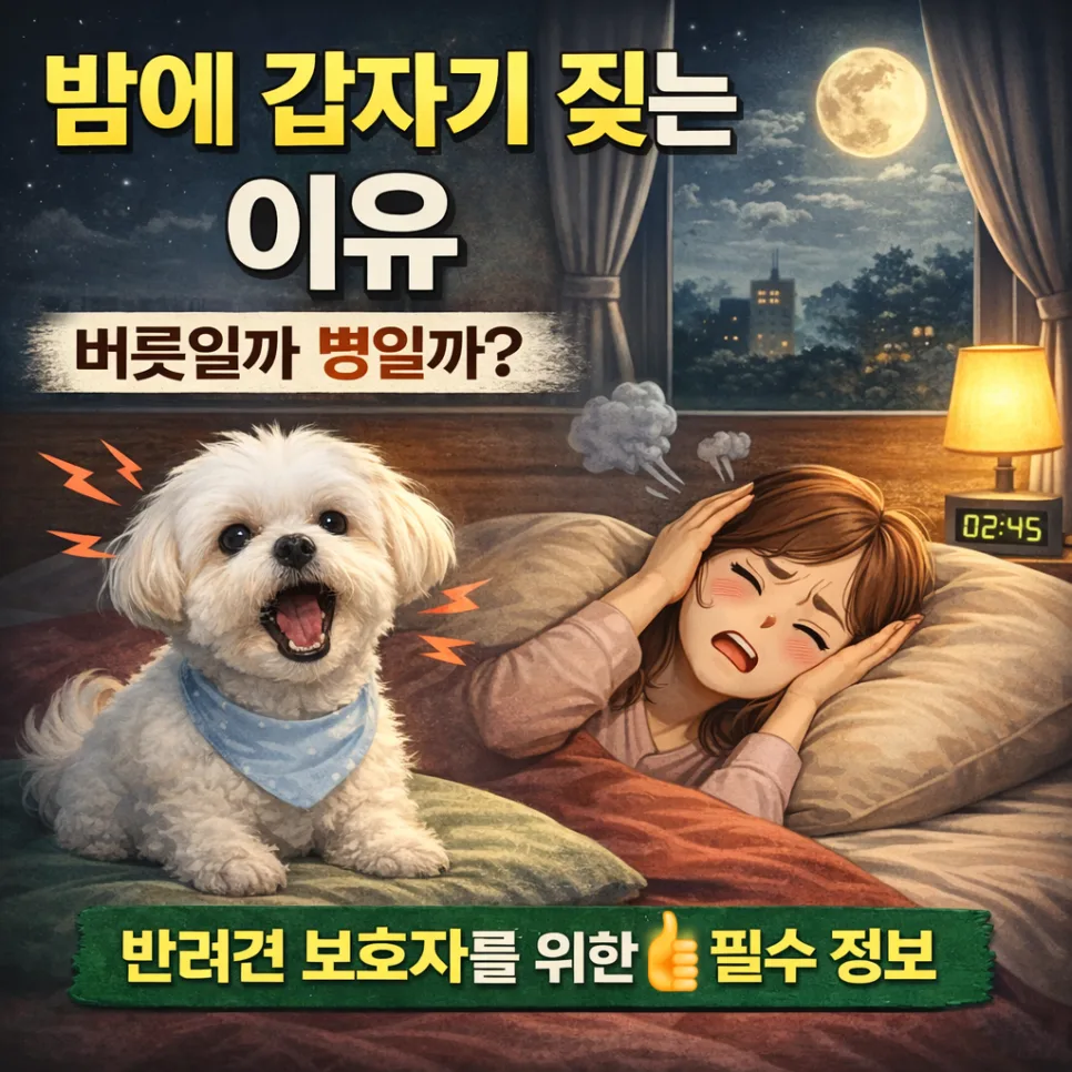 반려견 밤 짖음 원인 2026: 전문가가 알려주는 5가지 이유와 해결책