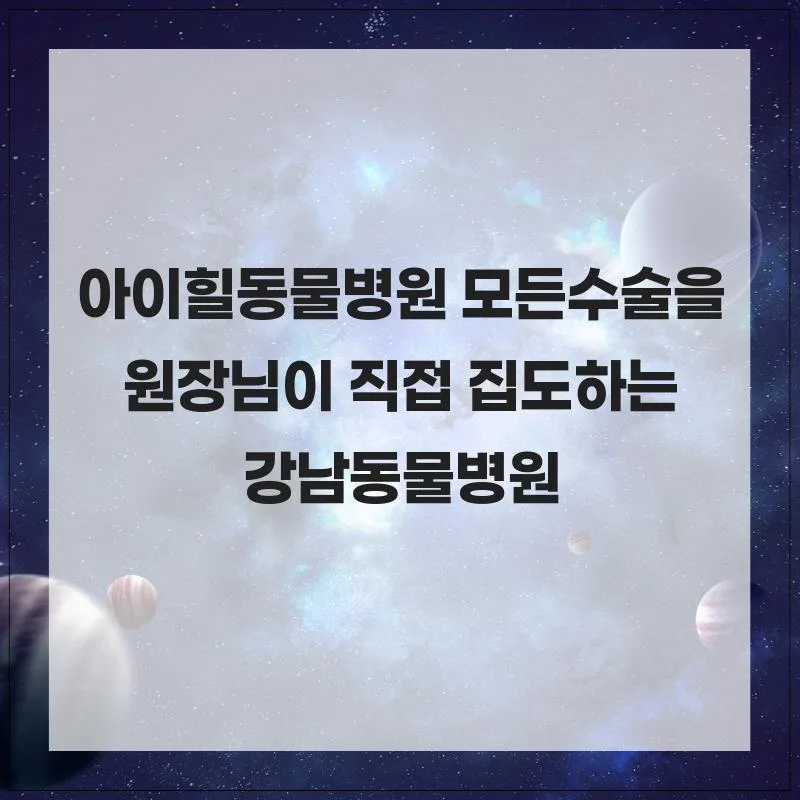 슬개골탈구 수술 2026: 강남 아이힐동물병원 원장님 직접 집도 후기 2