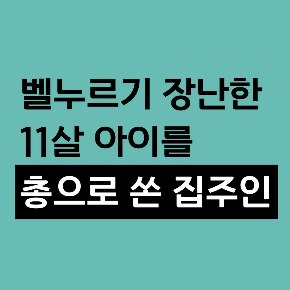 미국 벨누르기 장난 사망 사건 2026: 11세 소년 총격 사건 총정리