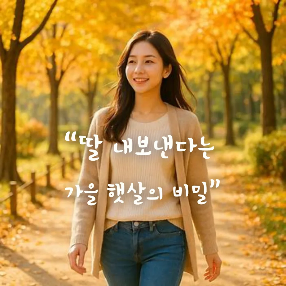 가을 햇볕의 놀라운 건강 효과와 안전 수칙 2026