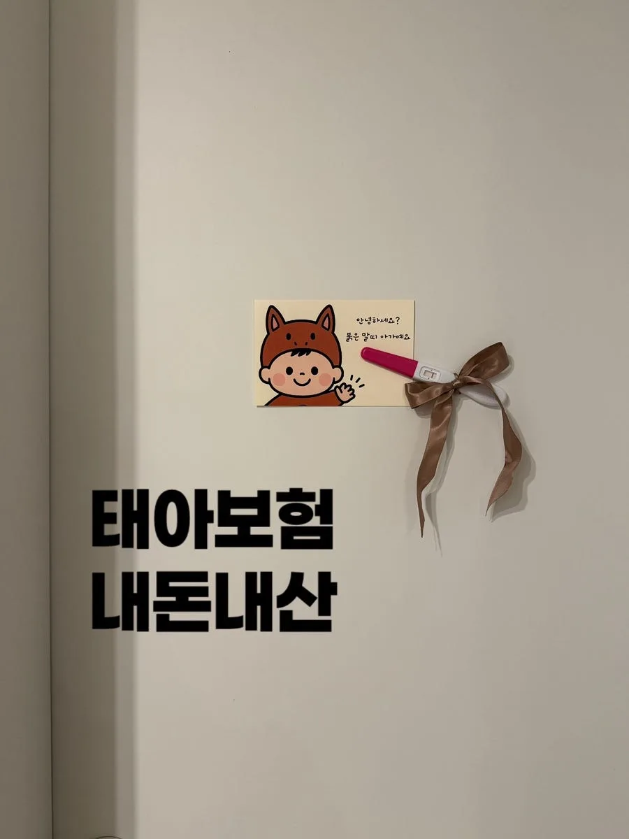 둘째 태아보험 가입 후기 2026: 내돈내산 설계 비교