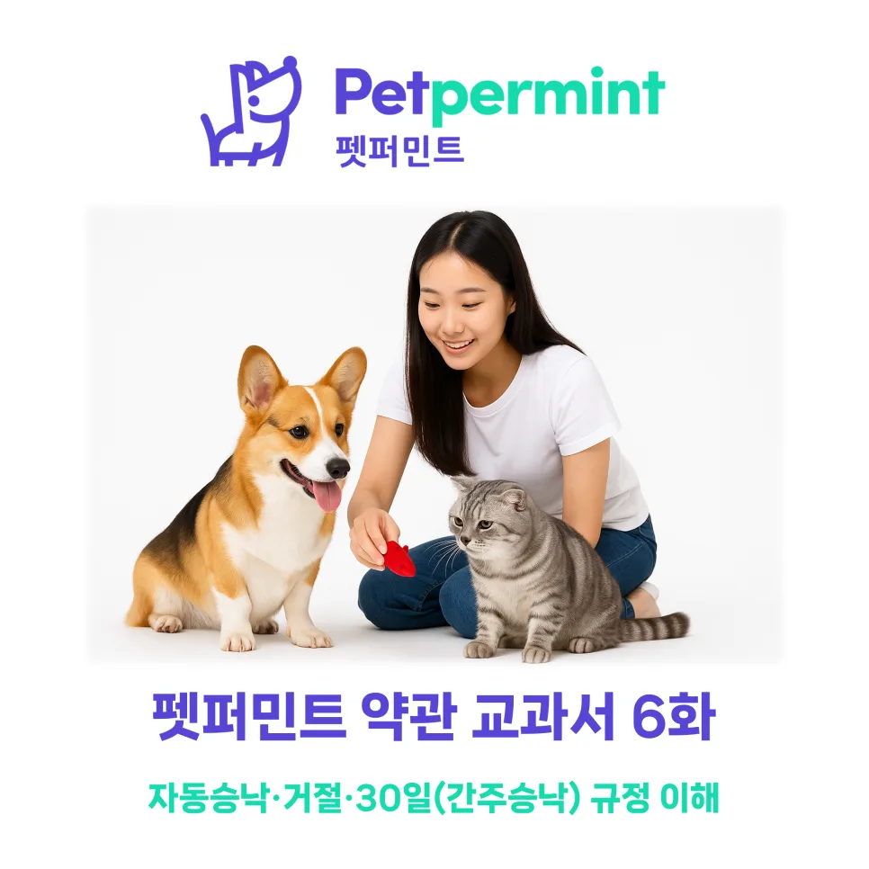 펫 보험 자동승낙·거절·30일 규정: 2026년 가입 핵심 총정리