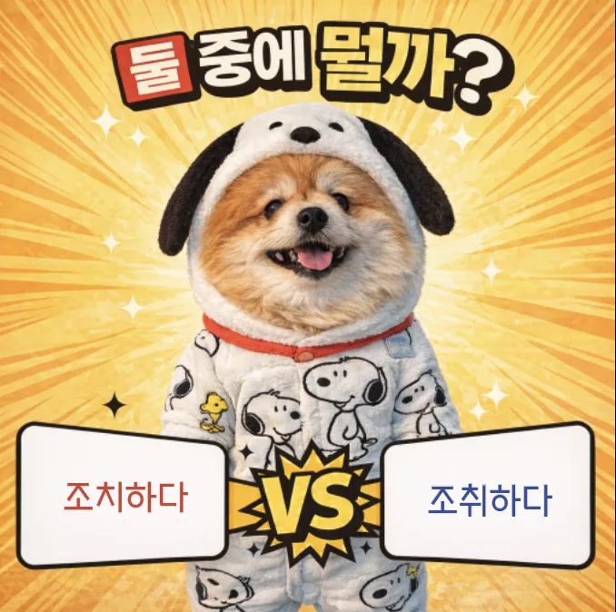 Korean 'Jochi' vs 'Jochwi' 2026: Correct Spelling Explained
