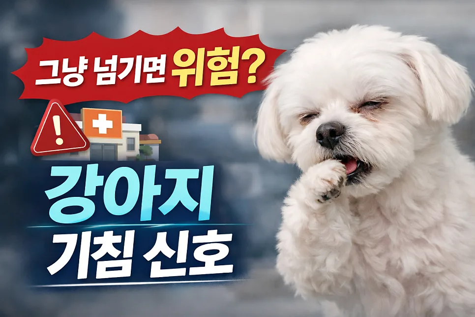 2026년 강아지 기침, 언제까지 지켜볼까? 병원 가야 할 때