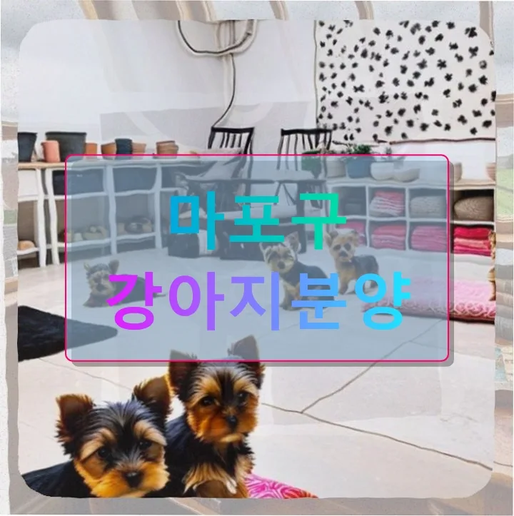 강아지 혈변 응급 상황 대처법: 2026년 실제 경험자가 알려드려요
