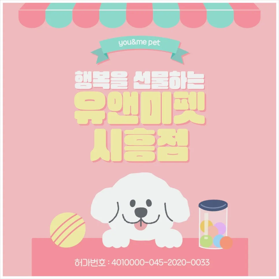 시흥 노르웨이숲 고양이 분양, 유앤미펫 경험담 2026