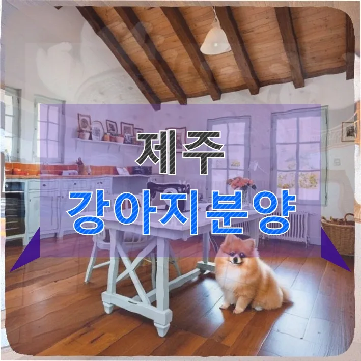 제주 슈나우저 분양 3주차, 첫 동물병원 방문 및 필수 정보 2026