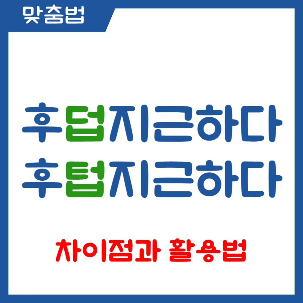 후덥지근 vs 후텁지근 2026년, 헷갈리는 더위 표현 완벽 정리