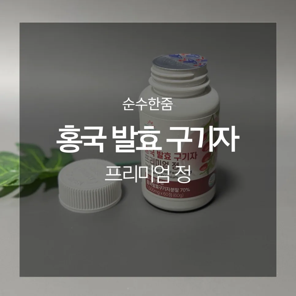 홍국발효 구기자 효능 2026: 혈관 건강 지키는 비결