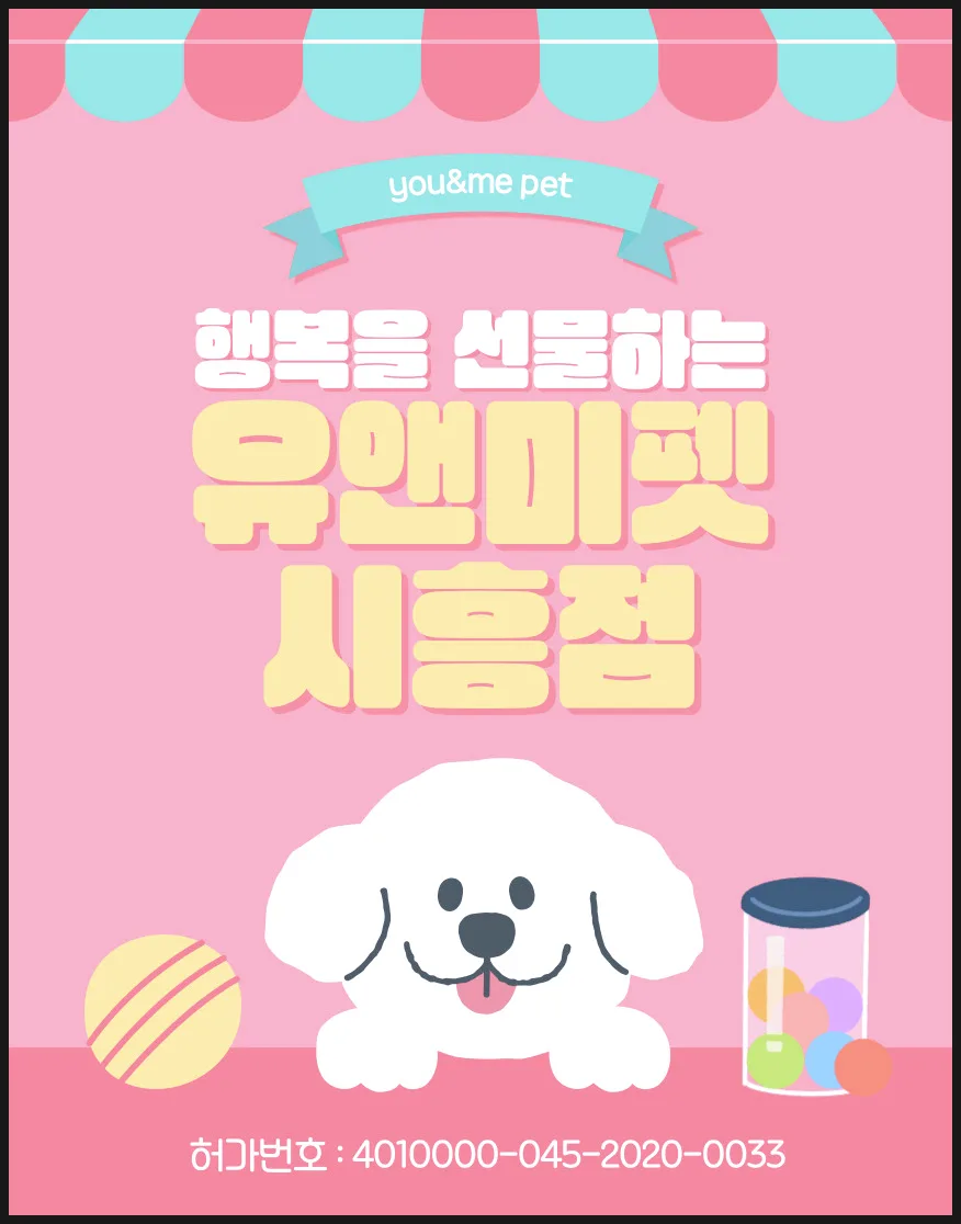 안산 말티즈 분양 2026: 유앤미펫 방문 후기 및 입양 절차 완벽 가이드