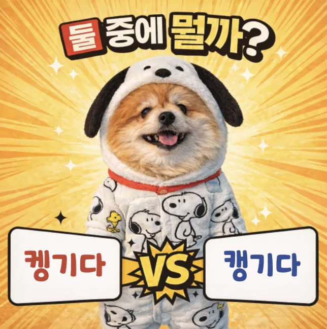 켕기다 vs 캥기다: 2026년 표준어 규정 완벽 정리