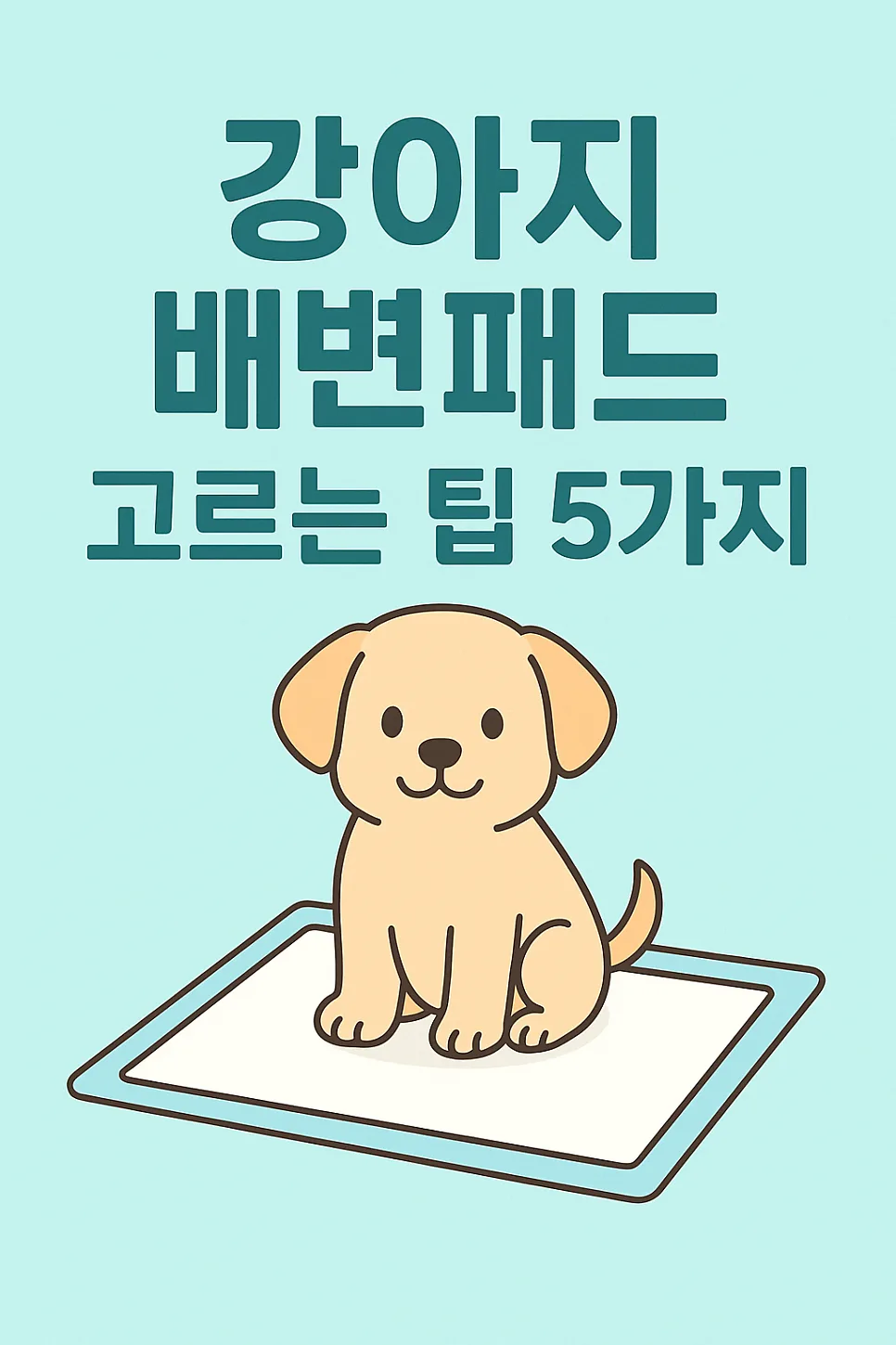 2026년 강아지 배변패드 선택 가이드: 흡수력부터 가성비까지