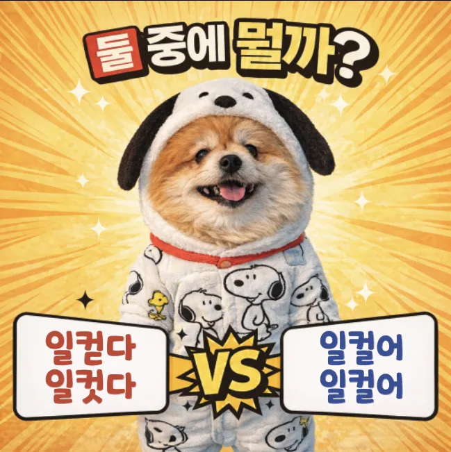 일컫다 vs 일컬어: 2026년 맞춤법 오류 완벽 정리
