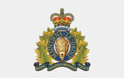 RCMP 범죄경력증명서 한국 발급 절차 2026년 총정리