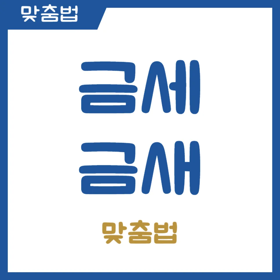 금세 금새 맞춤법, 2026년까지 헷갈리지 않는 법