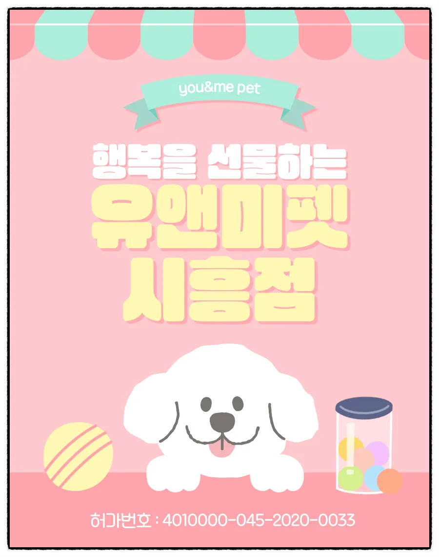 안산 본오동 말티즈 분양, 첫 반려견 입양 성공 후기 2026