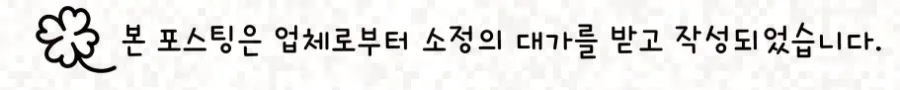 2026년 반려견 입양 준비: 초기 적응 및 건강 관리 완벽 가이드
