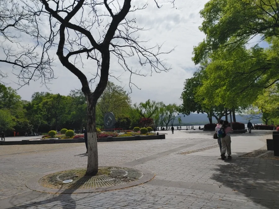 CHAGEE Milk Tea Review 2026: Hangzhou Lake & Jasmine Tea 3