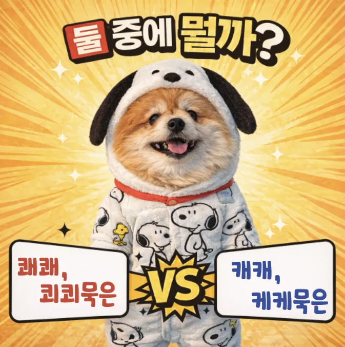 케케묵다 vs 캐캐묵다: 2026년, 헷갈리는 맞춤법 완벽 정리