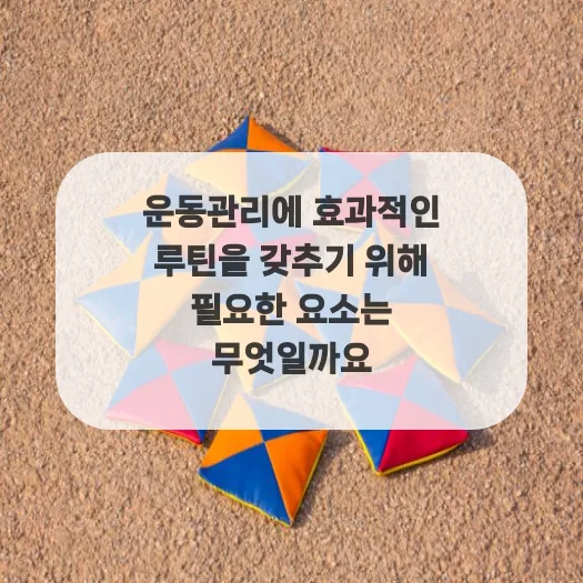 운동 루틴 2026: 건강 관리 성공하는 3가지 핵심 요소