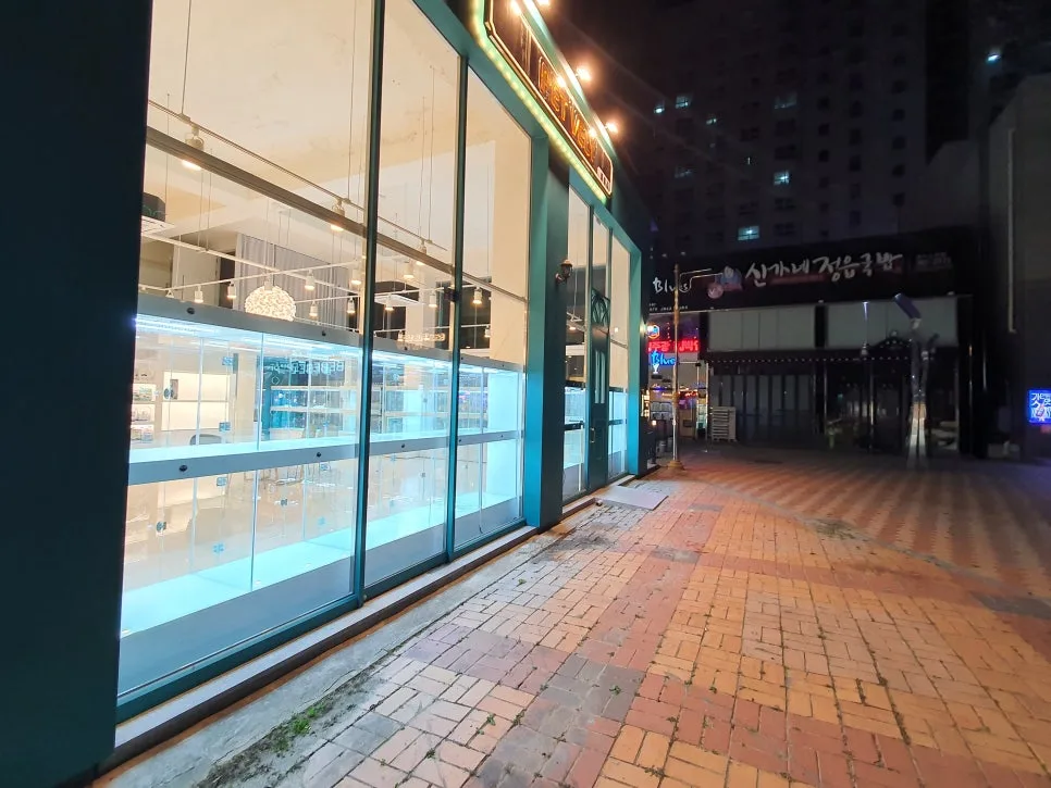 광주 말티푸 분양 2026: 초보도 성공하는 입양 가이드 3