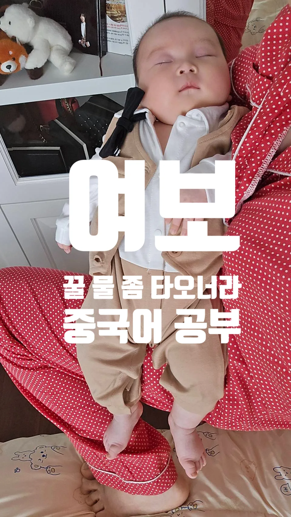 중국어 공부 명언 2026: 기름값 상승 속 여성 정치인 지혜 배우기