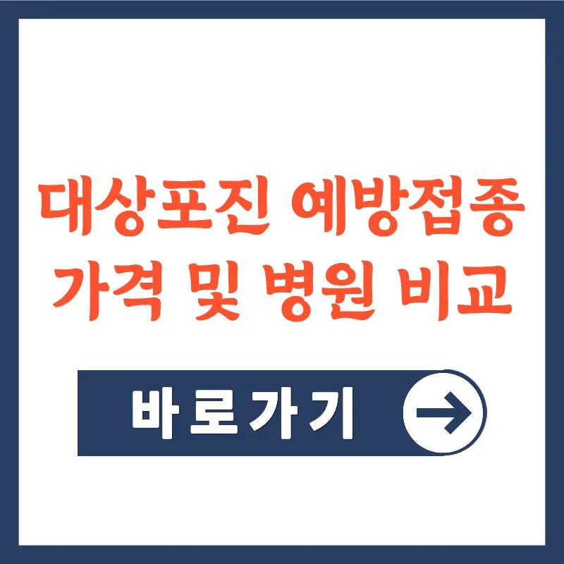 대상포진 예방접종 가격 및 무료 지원 2026년 총정리